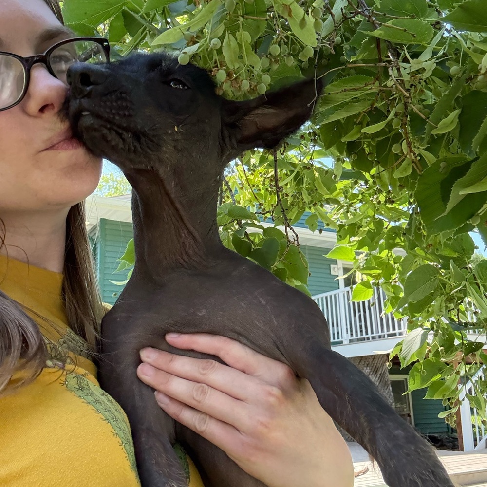 Meet your Posher, Stephanie